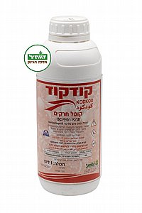 ������ ���� �����| 1 ����