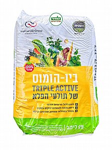 ��� ����� ������ | 25 ����