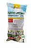 מלכודת זבובים הטורפת הירוקה