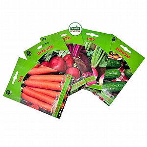 ����� ������ ����� 