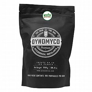 ������ �������� 750 ��� | DYNOMYCO